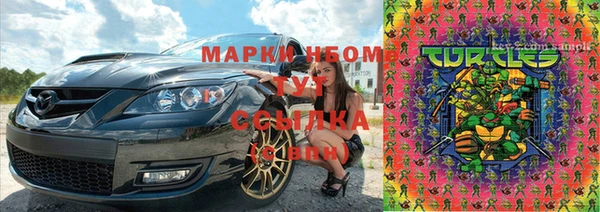 ГАЛЛЮЦИНОГЕННЫЕ ГРИБЫ Кострома