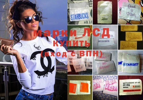 ГАЛЛЮЦИНОГЕННЫЕ ГРИБЫ Кострома