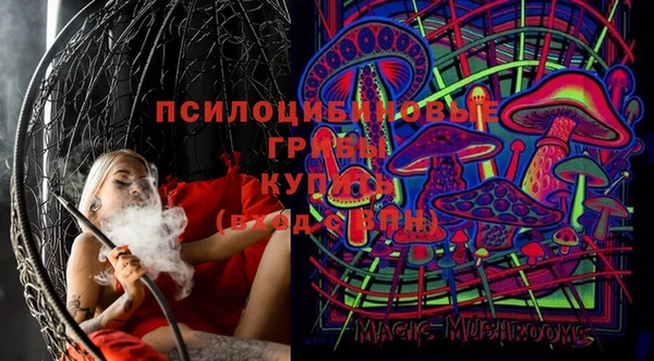 ГАЛЛЮЦИНОГЕННЫЕ ГРИБЫ Кострома