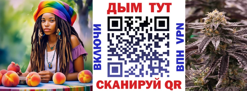 закладка Зея гидра ссылки Каннабис планчик